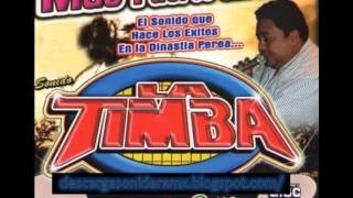 Entre Ritmos Y Palmeras  Cumbia  Sonido La Timba [upl. by Patin]