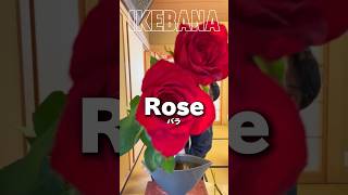 What do you think this Ikebana🌹flowerarrangementtutorial [upl. by Treat]