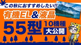 液晶・有機ELテレビ｜2024秋の大人気55型おすすめ10選｜今お得なモデルを紹介 [upl. by Earaj841]