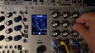 Synthesis Technology E352 wiggle [upl. by Llednik]