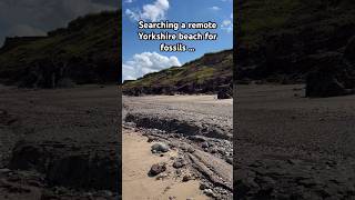 Searching a remote Yorkshire beach for fossils Is there a fossil waiting in the boulder fields [upl. by Marsland431]