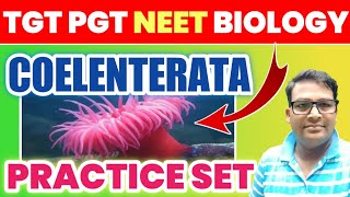 Coelenterata best MCQ  cnidaria mcq  TGT PGT LT GIC amp NEET Biology cnidariamcq coelenteratamcq [upl. by Acinad]