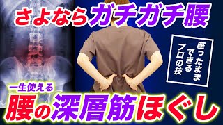 腰痛に一生悩まない『腰の筋肉完全調整法』20年続いた慢性腰痛・ぎっくり・反り腰・骨盤の歪み・悪姿勢・一瞬で消えるからやってみて [upl. by Schuler]