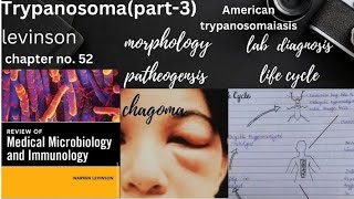 American Tryoanosomiasis Trypanosoma cruzimorphology life cycle pathogenesis lab diagnosis [upl. by Ysak]