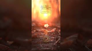 Surah Baqarah The Cow Urdu Translation Verse 1920 [upl. by Hicks]