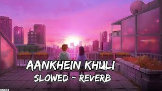 Aankhein Khuli Lofi   Slowed amp Reverb   Hindi Love Song  lofi [upl. by Kira231]