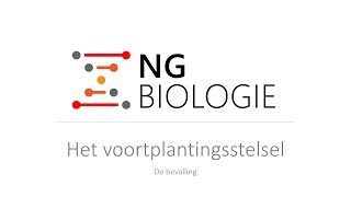 Het voortplantingsstelsel  de bevalling  HAVOVWO [upl. by Eniamahs]