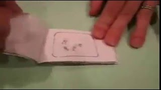 Mitosis Flipbook [upl. by Seerdi]