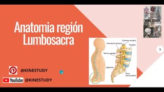 Anatomía Región Lumbosacra [upl. by Risan]