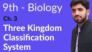 9th Class Biology  Chapter 3  Three Kingdom Classification System [upl. by Ligriv]