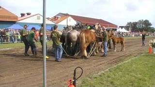 trekpaarden voor de sleepwagen [upl. by Jacinto]