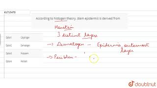 According to histogen theory stem epidermis is derived from [upl. by Remus72]