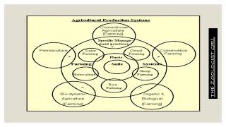 Desert and Agricultural Ecosystem Presentation  Ecosystem Ecology Presentation [upl. by Myo]