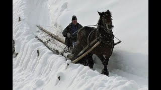 Holzrücken  Hasna  mit Pferd und Schlitten [upl. by Alberic]