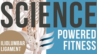 SciencePowered Fitness Understanding the Iliolumbar Ligament  Your Key to a Healthy Lower Back [upl. by Vina]