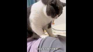 小猫咪也会区别对待嘛😅记录猫咪日常 抖音萌宠 猫和孩子 抖in萌宠计划 哥哥和泡芙 [upl. by Nelan409]