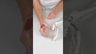 Work This ONE Muscle for Thumb Arthritis Pain Relief 🔥 [upl. by Sholeen102]