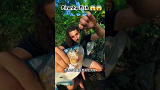 Piranha bites stick 😱😱 ytshorts fishing piranha [upl. by Eetsirhc]