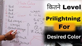 Which Undercoat Level Need For Desired Shade  कोन से लेवल तक करे Prilightning Salonfact [upl. by Eilraep]