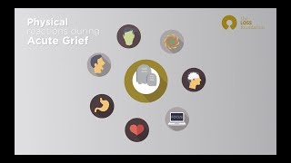 The Phases of Grief  understanding bereavement [upl. by Ades]