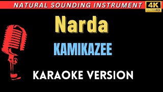 Narda  Kamikazee HD Karaoke Version [upl. by Cullie]