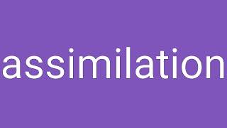 Assimilation Definition amp Meaning [upl. by Acilef]