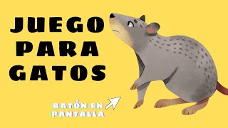 Raton para Gatos en Pantalla 1 Hora  Ratones Corriendo con Sonido Real  Juego de Gatos Animados 🐈 [upl. by Arol273]