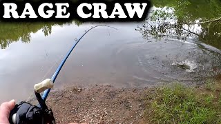 Bass Fishing with a Texas Rig Rage Craw  Shallow Water Bass are Back [upl. by Ahsatan162]