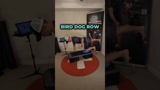 EMS Training  Bird Dog Row Exercise [upl. by Atteloiv]