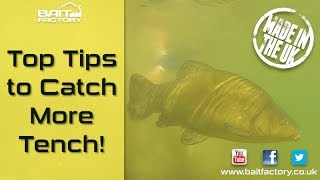 Tench fishing tips Learn how to catch more fish [upl. by Norej253]