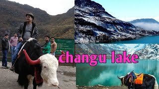 CHANGU LAKE IN SIKKIM [upl. by Nyret]