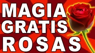 Como hacer aparecer una rosa Truco de magia explicado revelado y gratis [upl. by Jenna]