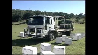 Australian Beekeeping  Apiculture in Australia [upl. by Pachston414]