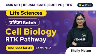 RTK Pathway  Life Sciences  CSIR NET  IIT JAM  GATE  CUET PG  TIFR  VedPrep Biology Academy [upl. by Hacceber]