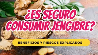 ¿Es Seguro Consumir Jengibre Beneficios y Riesgos Explicados [upl. by Leeda]