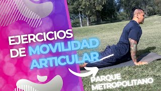 EJERCICIOS DE MOVILIDAD ARTICULAR [upl. by Adel]