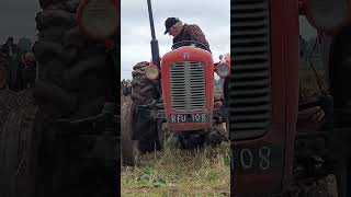 Massey Ferguson 35 at Warwick Vintage Ploughing Match Saturday 21st October 2023 masseyferguson [upl. by Assilev511]