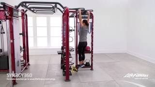 Hanging Knee Oblique Raises [upl. by Enirol264]