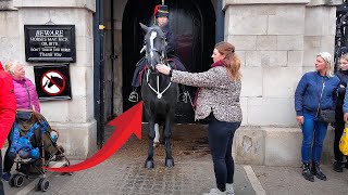 ❌🚨The King’s Horse Reacts Strongly to Tourist Touching Him [upl. by Nauqal]