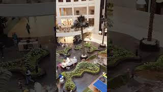 radissonhotels dwarka delhi [upl. by Brottman735]