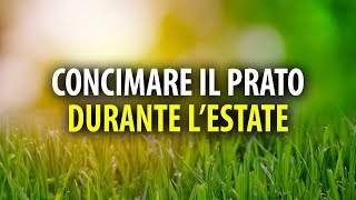 Come Concimare il Prato Durante lEstate [upl. by Uni]