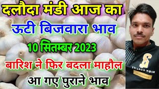 दलोदा मंडी आज का ऊटी बिजवारा का भाव 10 सितम्बर 2023 ooty biju garlic rate daloda ooty bijvara bhav [upl. by Jaime223]