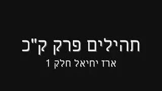 Hebrew Prayer meditation psalms 120 by Erez Yehiel [upl. by Bechler]