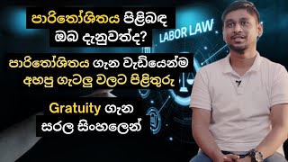 පාරිතෝශිතය ගැන වැඩියෙන්ම අහපු ප්‍රශ්න වලට පිළිතුරු  Answers for FAQ on Gratuity  Labour Law [upl. by Flower]