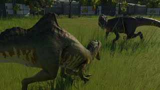 Jurassic World Evolution 2 Modified Concavenator vs Indoraptor [upl. by Hgielyk]