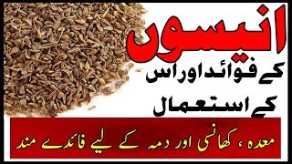 Health Benefits of anise  Anisoon ke fawaid ur us ke istemal By Hakeem Zia Shahid [upl. by Nossah123]