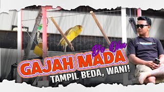 WANI🔥GAJAH MADA Memang Aduhay  De Oka [upl. by Breh]