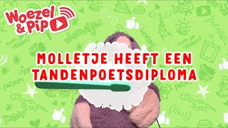 Molletje heeft zijn tandenpoetsdiploma gekregen🏆✨ [upl. by Anide359]