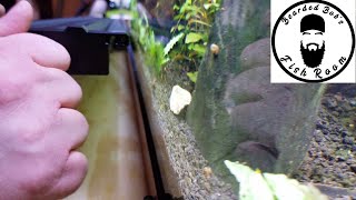 Beamswork LED Aquarium Light Unboxing and Review [upl. by Bartholemy]