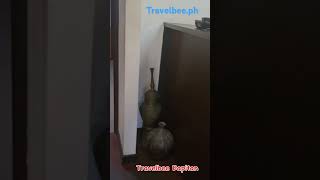 Travelbee Heritage Inn Dapitan [upl. by Nonnarb]